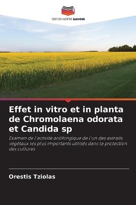 Effet in vitro et in planta de Chromolaena odorata et Candida sp - Orestis Tziolas - cover