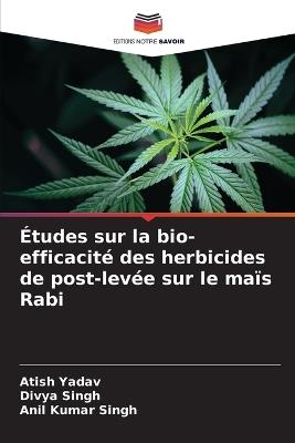 Études sur la bio-efficacité des herbicides de post-levée sur le maïs Rabi - Atish Yadav,Divya Singh,Anil Kumar Singh - cover