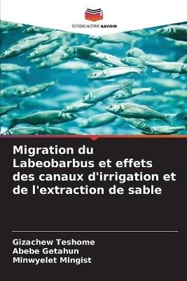 Migration du Labeobarbus et effets des canaux d'irrigation et de l'extraction de sable - Gizachew Teshome,Abebe Getahun,Minwyelet Mingist - cover