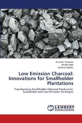 Low Emission Charcoal: Innovations for Smallholder Plantations - Ewunetu Tazebew,Shinjiro Sato,Solomon Addisu - cover