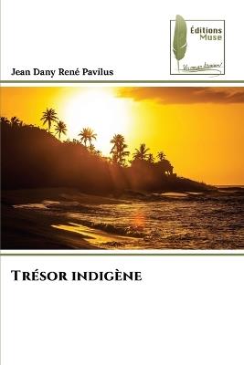 Trésor indigène - Jean Dany René Pavilus - cover