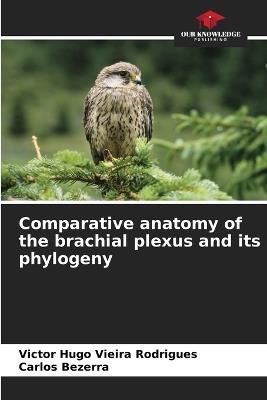 Comparative anatomy of the brachial plexus and its phylogeny - Victor Hugo Vieira Rodrigues,Carlos Bezerra - cover