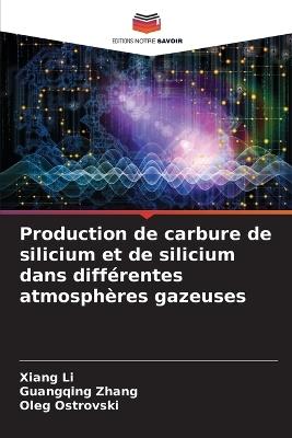 Production de carbure de silicium et de silicium dans différentes atmosphères gazeuses - Xiang Li,Guangqing Zhang,Oleg Ostrovski - cover