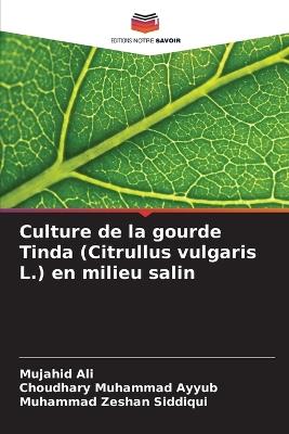 Culture de la gourde Tinda (Citrullus vulgaris L.) en milieu salin - Mujahid Ali,Choudhary Muhammad Ayyub,Muhammad Zeshan Siddiqui - cover