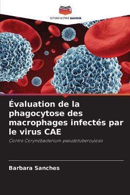 Évaluation de la phagocytose des macrophages infectés par le virus CAE - Barbara Sanches - cover
