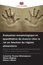 Évaluation morphologique et quantitative du muscle chez le rat en fonction du régime alimentaire