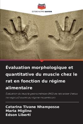 Évaluation morphologique et quantitative du muscle chez le rat en fonction du régime alimentaire - Catarina Tivane Nhamposse,Maria Miglino,Edson Liberti - cover