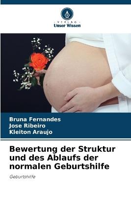 Bewertung der Struktur und des Ablaufs der normalen Geburtshilfe - Bruna Fernandes,José Ribeiro,Kleiton Araújo - cover