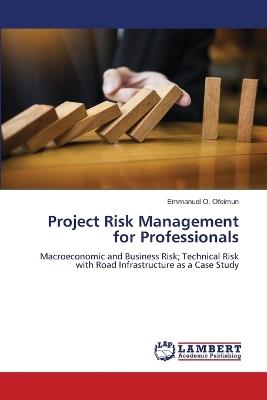Project Risk Management for Professionals - Emmanuel O Ofeimun - cover