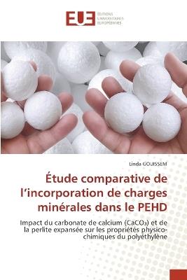 Étude comparative de l'incorporation de charges minérales dans le PEHD - Linda Gouissem - cover