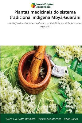 Plantas medicinais do sistema tradicional indígena Mbyá-Guarani - Clara Lia Costa Brandelli,Alexandre Macedo,Tiana Tasca - cover