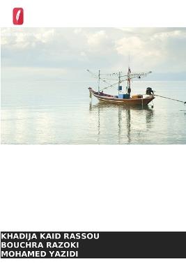 Lagoa de Oualidia (Marrocos): questões hidrogeológicas e de sustentabilidade - Khadija Kaid Rassou,Bouchra Razoki,Mohamed Yazidi - cover