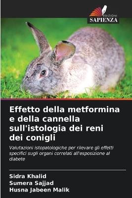 Effetto della metformina e della cannella sull'istologia dei reni dei conigli - Sidra Khalid,Sumera Sajjad,Husna Jabeen Malik - cover