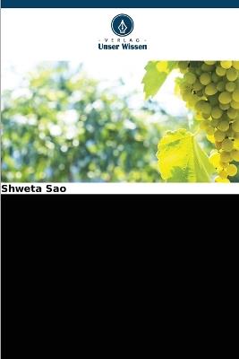 Industrieabfall Flugasche als Düngemittel - Shweta Sao - cover