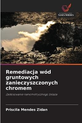 Remediacja wód gruntowych zanieczyszczonych chromem - Priscila Mendes Zidan - cover