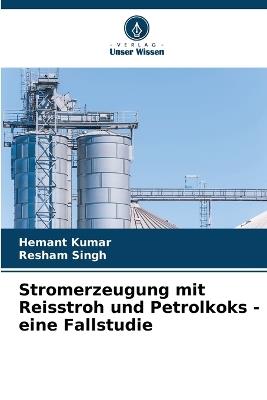Stromerzeugung mit Reisstroh und Petrolkoks - eine Fallstudie - Hemant Kumar,Resham Singh - cover