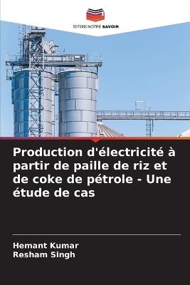 Production d'électricité à partir de paille de riz et de coke de pétrole - Une étude de cas - Hemant Kumar,Resham Singh - cover
