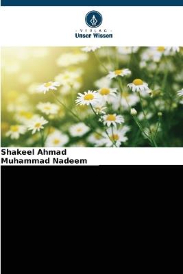 Niedrigschmelzende Anteile von Milchfett und Lipolyse von Cheddar-Käse - Shakeel Ahmad,Muhammad Nadeem - cover