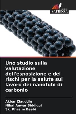 Uno studio sulla valutazione dell'esposizione e dei rischi per la salute sul lavoro dei nanotubi di carbonio - Akbar Ziauddin,Nihal Anwar Siddiqui,Sk Khasim Beebi - cover