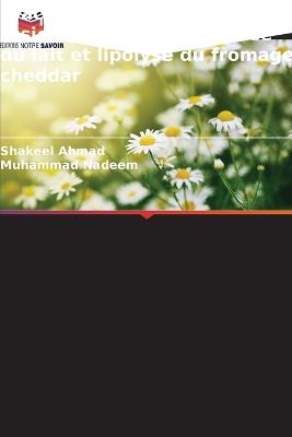 Fractions à bas point de fusion de la matière grasse du lait et lipolyse du fromage cheddar - Shakeel Ahmad,Muhammad Nadeem - cover