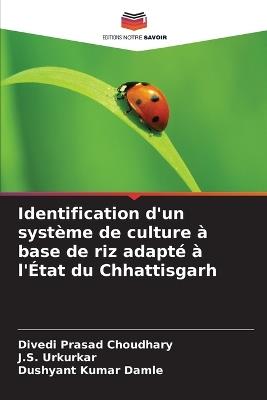 Identification d'un système de culture à base de riz adapté à l'État du Chhattisgarh - Divedi Prasad Choudhary,J S Urkurkar,Dushyant Kumar Damle - cover