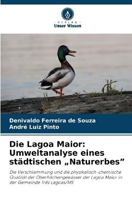 Die Lagoa Maior: Umweltanalyse eines städtischen "Naturerbes" - Denivaldo Ferreira de Souza,André Luiz Pinto - cover