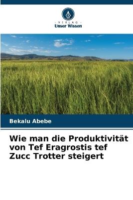 Wie man die Produktivität von Tef Eragrostis tef Zucc Trotter steigert - Bekalu Abebe - cover