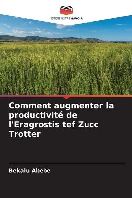 Comment augmenter la productivité de l'Eragrostis tef Zucc Trotter - Bekalu Abebe - cover