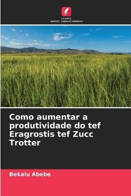 Como aumentar a produtividade do tef Eragrostis tef Zucc Trotter - Bekalu Abebe - cover