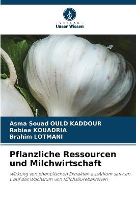 Pflanzliche Ressourcen und Milchwirtschaft - Asma Souad Ould Kaddour,Rabiaa Kouadria,Brahim Lotmani - cover