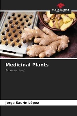 Medicinal Plants - Jorge Saurín López - cover