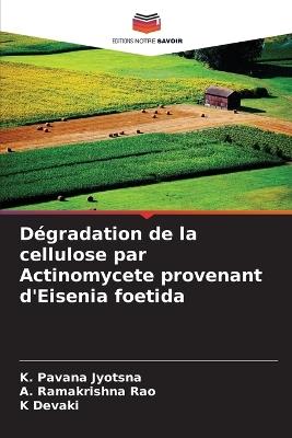 Dégradation de la cellulose par Actinomycete provenant d'Eisenia foetida - K Pavana Jyotsna,A Ramakrishna Rao,K Devaki - cover