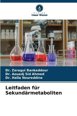 Leitfaden für Sekundärmetaboliten - Zeragui Bankaddour,Aouadj Sid Ahmed,Halla Noureddine - cover