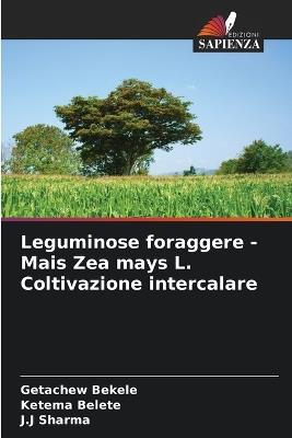 Leguminose foraggere - Mais Zea mays L. Coltivazione intercalare - Getachew Bekele,Ketema Belete,J J Sharma - cover