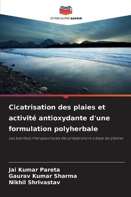 Cicatrisation des plaies et activité antioxydante d'une formulation polyherbale - Jai Kumar Pareta,Gaurav Kumar Sharma,Nikhil Shrivastav - cover