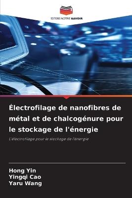 Électrofilage de nanofibres de métal et de chalcogénure pour le stockage de l'énergie - Hong Yin,Yingqi Cao,Yaru Wang - cover