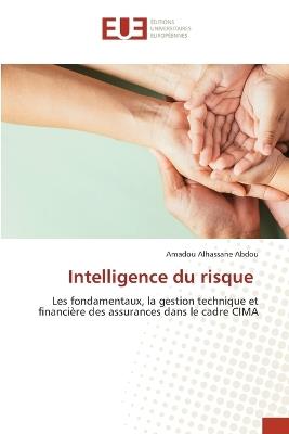 Intelligence du risque - Amadou Alhassane Abdou - cover