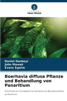 Boerhavia diffusa Pflanze und Behandlung von Panaritium - Daniel Danboyi,John Mawak,Evans Egwim - cover