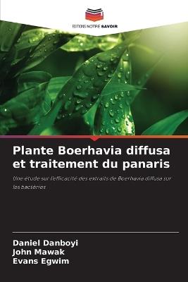 Plante Boerhavia diffusa et traitement du panaris - Daniel Danboyi,John Mawak,Evans Egwim - cover