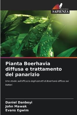 Pianta Boerhavia diffusa e trattamento del panarizio - Daniel Danboyi,John Mawak,Evans Egwim - cover