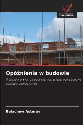 Opóźnienia w budowie - Belachew Asteray - cover