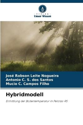 Hybridmodell - José Robson Leite Nogueira,Antonio C S Dos Santos,Mucio C Campos Filho - cover