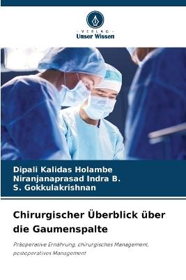 Chirurgischer Überblick über die Gaumenspalte - Dipali Kalidas Holambe,Niranjanaprasad Indra B,S Gokkulakrishnan - cover