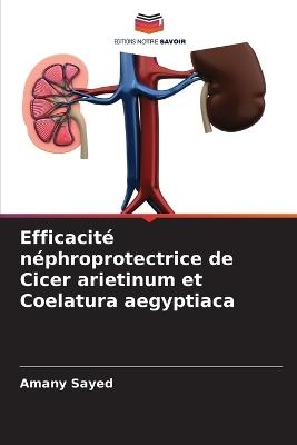 Efficacité néphroprotectrice de Cicer arietinum et Coelatura aegyptiaca - Amany Sayed - cover