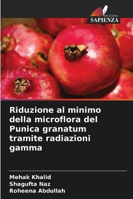 Riduzione al minimo della microflora del Punica granatum tramite radiazioni gamma - Mehak Khalid,Shagufta Naz,Roheena Abdullah - cover