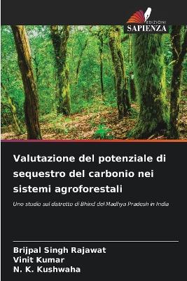Valutazione del potenziale di sequestro del carbonio nei sistemi agroforestali - Brijpal Singh Rajawat,Vinit Kumar,N K Kushwaha - cover