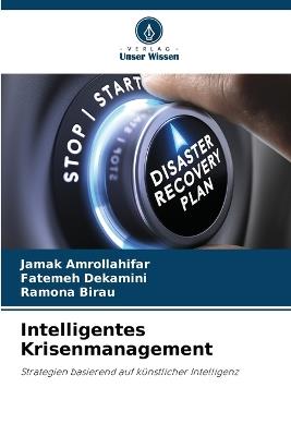 Intelligentes Krisenmanagement - Jamak Amrollahifar,Fatemeh Dekamini,Ramona Birau - cover