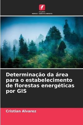 Determinação da área para o estabelecimento de florestas energéticas por GIS - Cristian Álvarez - cover