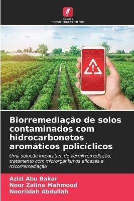 Biorremediação de solos contaminados com hidrocarbonetos aromáticos policíclicos - Azizi Abu Bakar,Noor Zalina Mahmood,Noorlidah Abdullah - cover