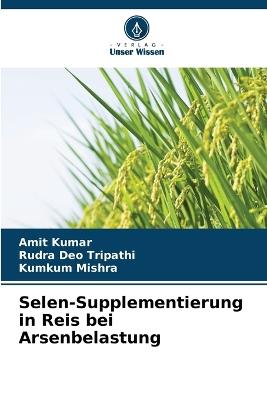 Selen-Supplementierung in Reis bei Arsenbelastung - Amit Kumar,Rudra Deo Tripathi,Kumkum Mishra - cover